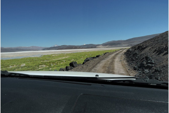 m__038 ok. 4400m Argentyna Puna de Atacama